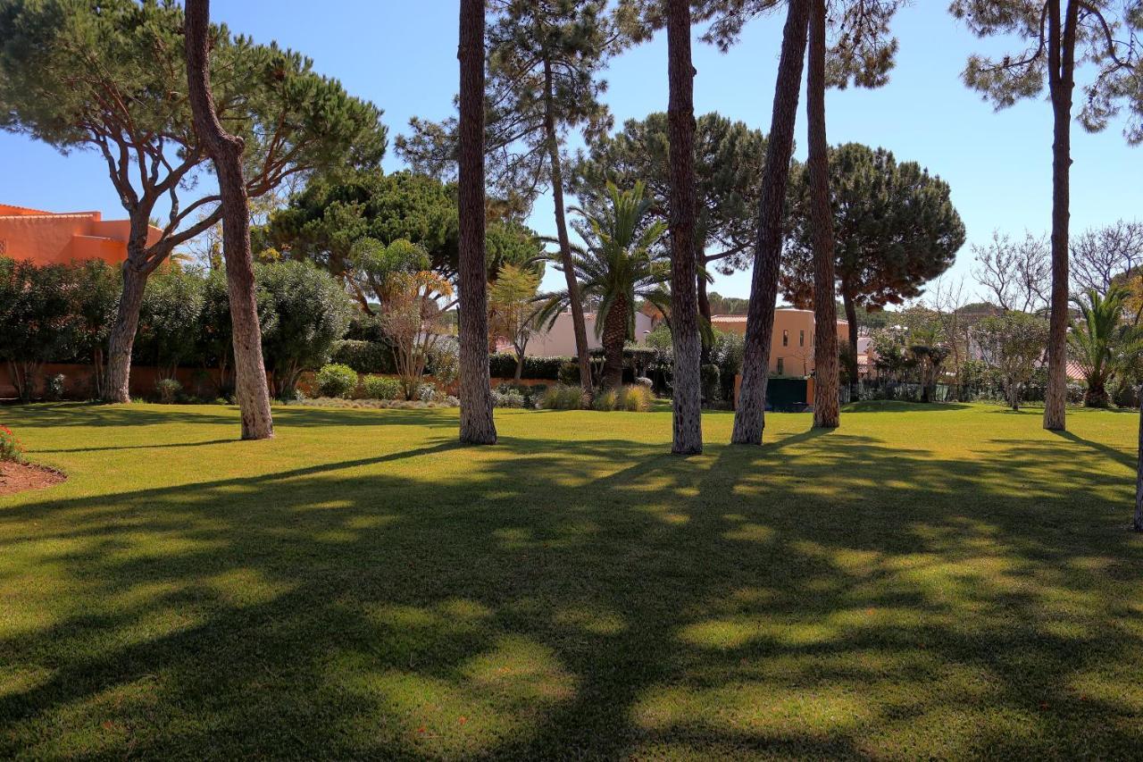 Casa Da Palmeira, Pool & Soccer Pitch 빌라모라 외부 사진