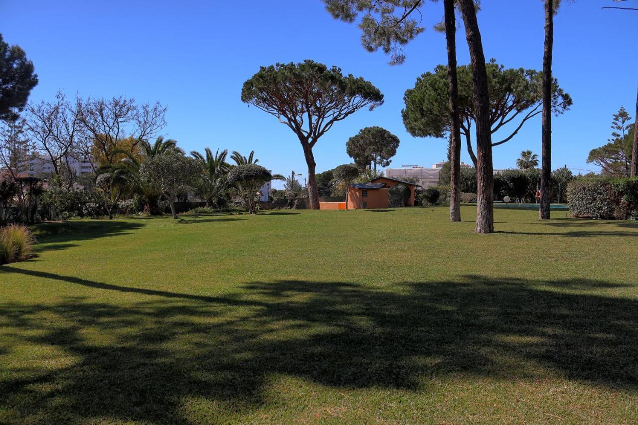 Casa Da Palmeira, Pool & Soccer Pitch 빌라모라 외부 사진